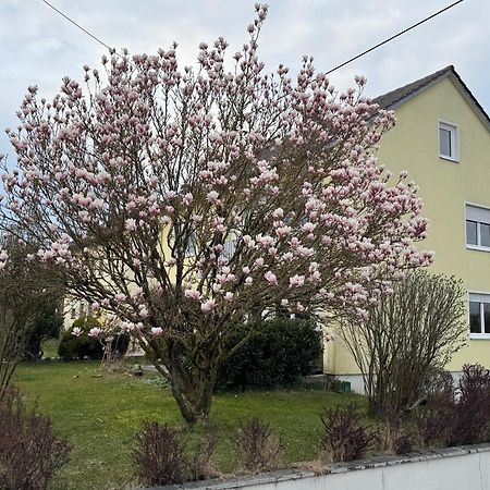 W&P Living Wohnung Mit Ausblick - Parkplatz Biberbach  Exteriér fotografie