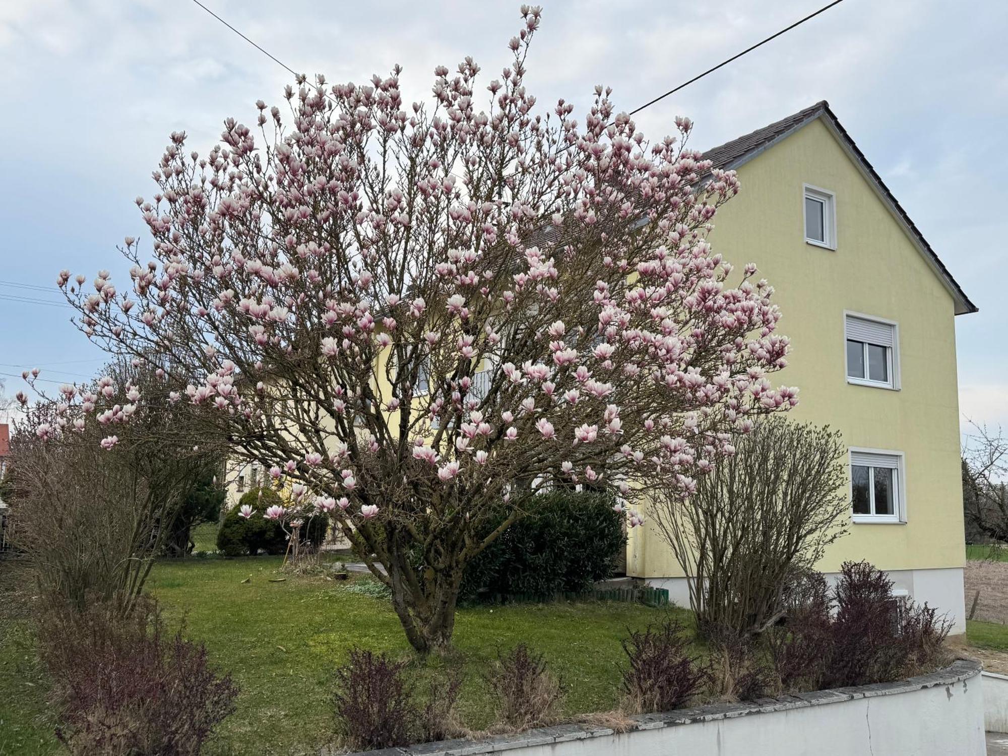 W&P Living Wohnung Mit Ausblick - Parkplatz Biberbach  Exteriér fotografie